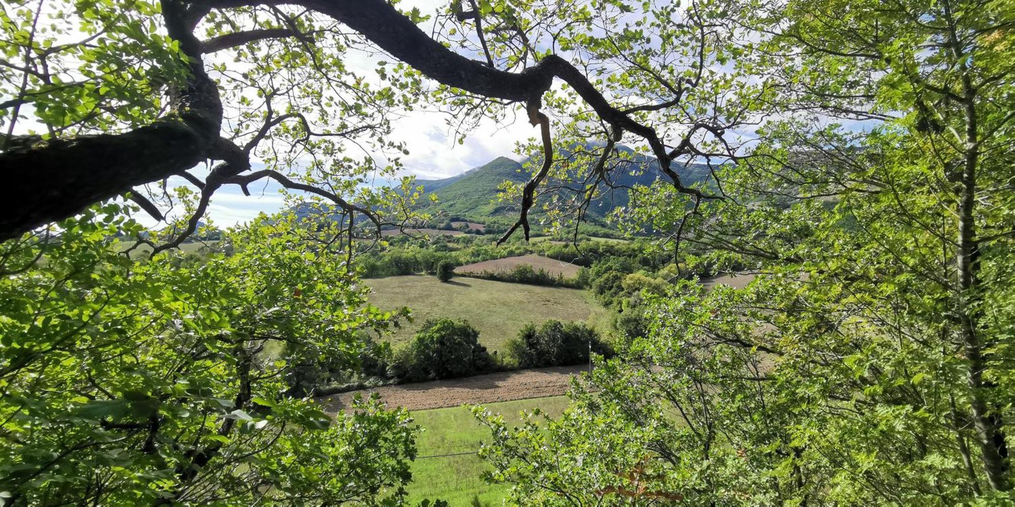 La Casetta Di Gino E Marcella Sassoferrato Zewnętrze zdjęcie